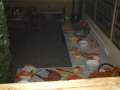 DSCF0148