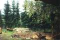 Judafest 2000 (52)