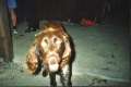 Judafest 2000 (58)