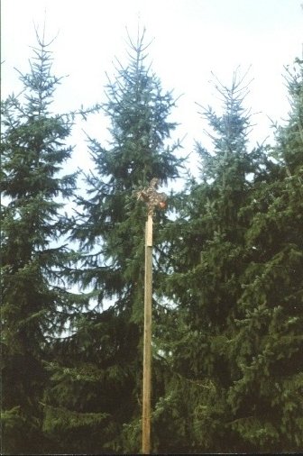 Judafest 2001 (9)