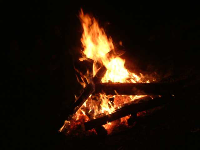 DSCF0113