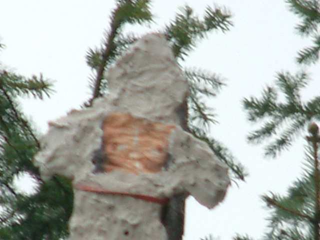 DSCF0155