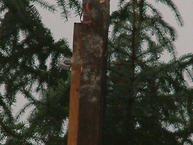 DSCF0157