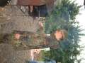 DSCF0124