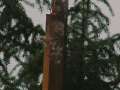 DSCF0157