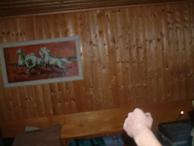 DSCF0061