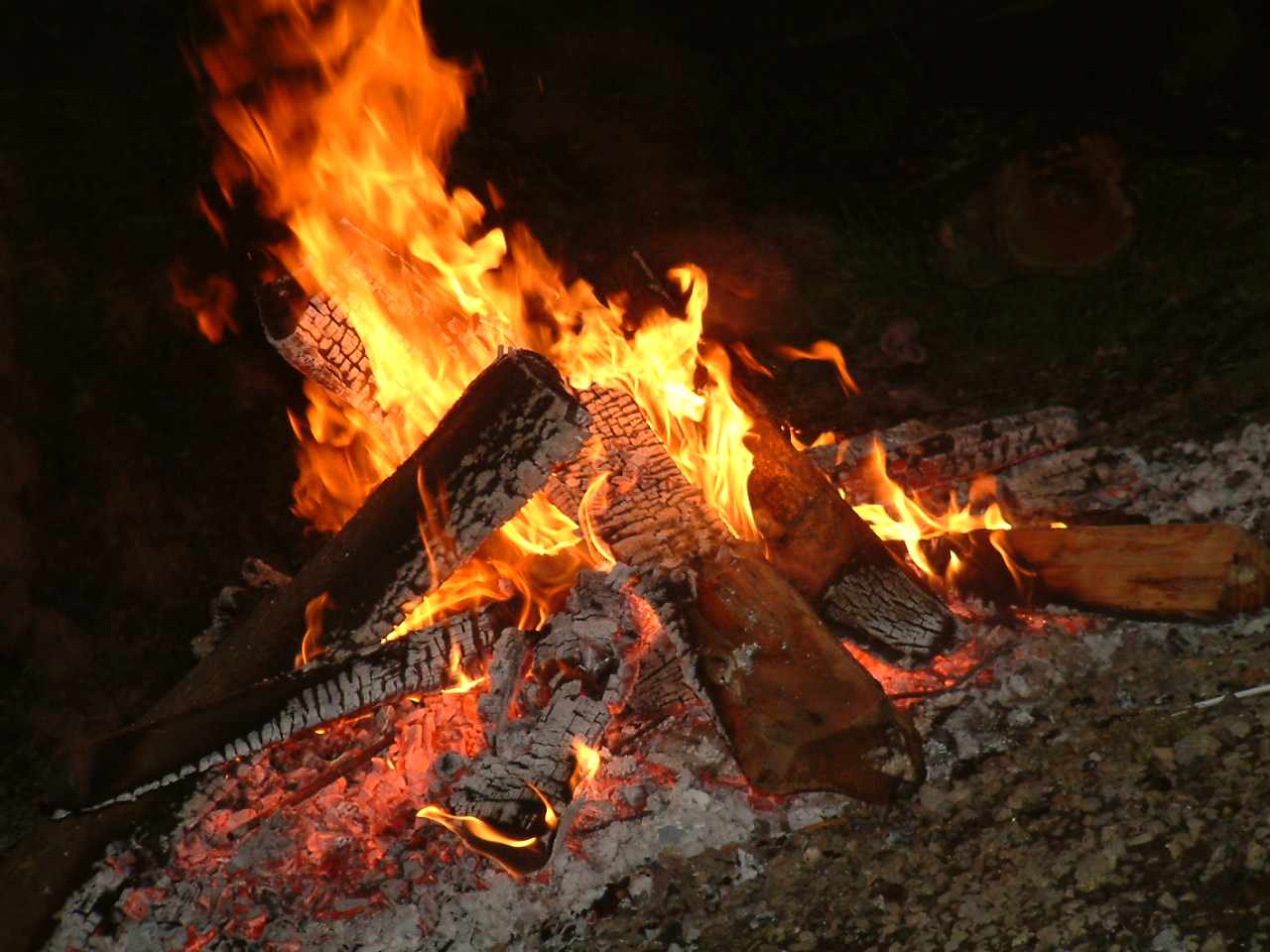 DSCF0130