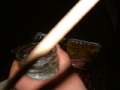 DSCF0057