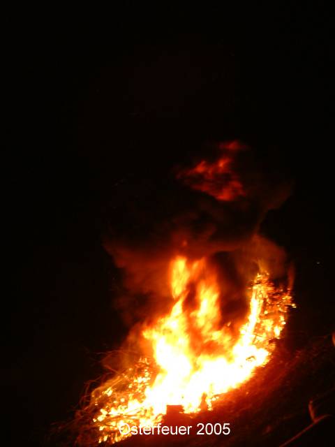 DSCF0119