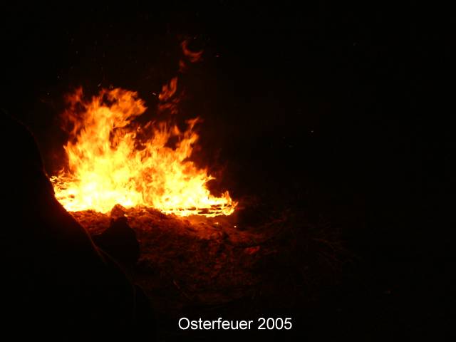 DSCF0221