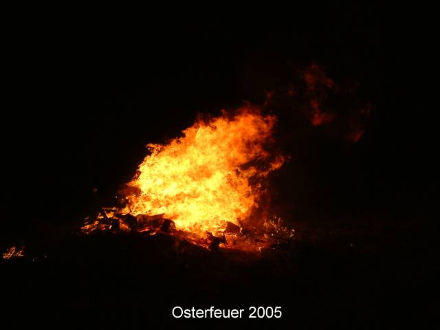 DSCF0230