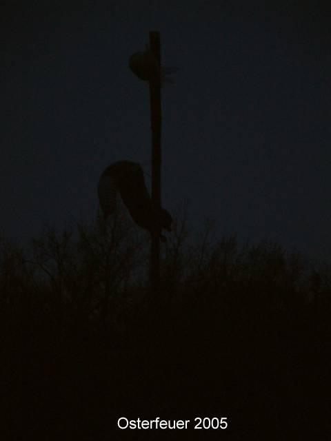 DSCF0293