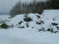 DSCF0013