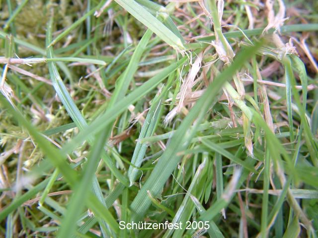 DSCF0783