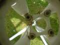 DSCF0776