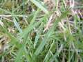 DSCF0783